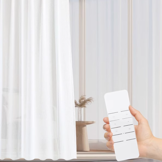 Motor Remote Control