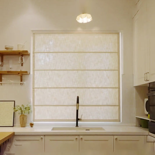 Day and Night Blinds Motor